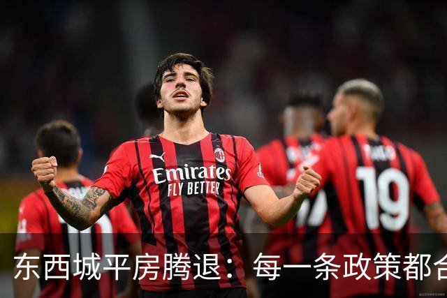 东西城平房腾退：每一条政策都合法，但合在一起就是让你待不舒服