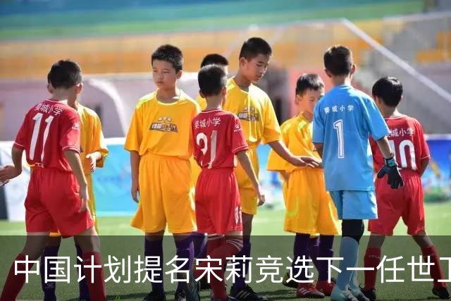 中国计划提名宋莉竞选下一任世卫组织总干事，中方：相信如果宋莉博士当选，将有助于这一组织在提升全人类健康福祉方面发挥更为积极的作用