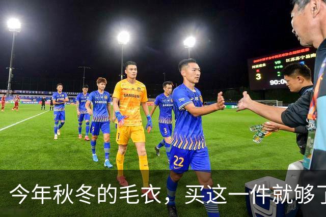 今年秋冬的毛衣，买这一件就够了！