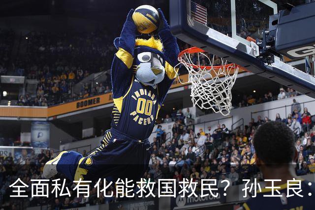 全面私有化能救国救民？孙玉良：资本主义只能把中国带入万丈深渊