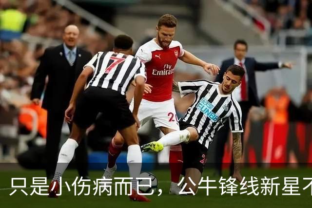 只是小伤病而已，公牛锋线新星不会缺席接下来的季前赛？