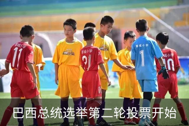 巴西总统选举第二轮投票开始