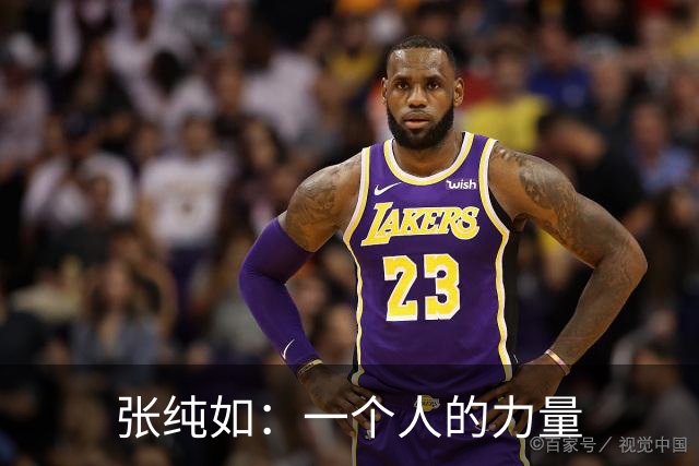 张纯如：一个人的力量