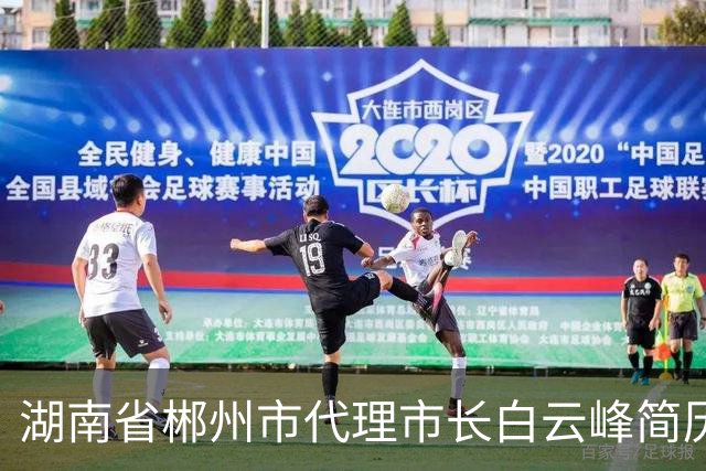 湖南省郴州市代理市长白云峰简历