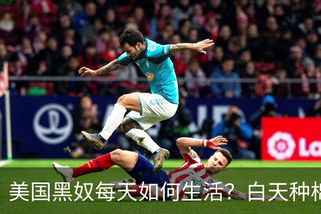 美国黑奴每天如何生活？白天种棉花、夜晚遭侵犯，还被当“种猪”